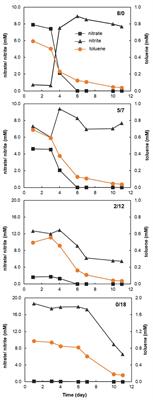 Availability of Nitrite and Nitrate as Electron Acceptors Modulates Anaerobic Toluene-Degrading Communities in Aquifer Sediments